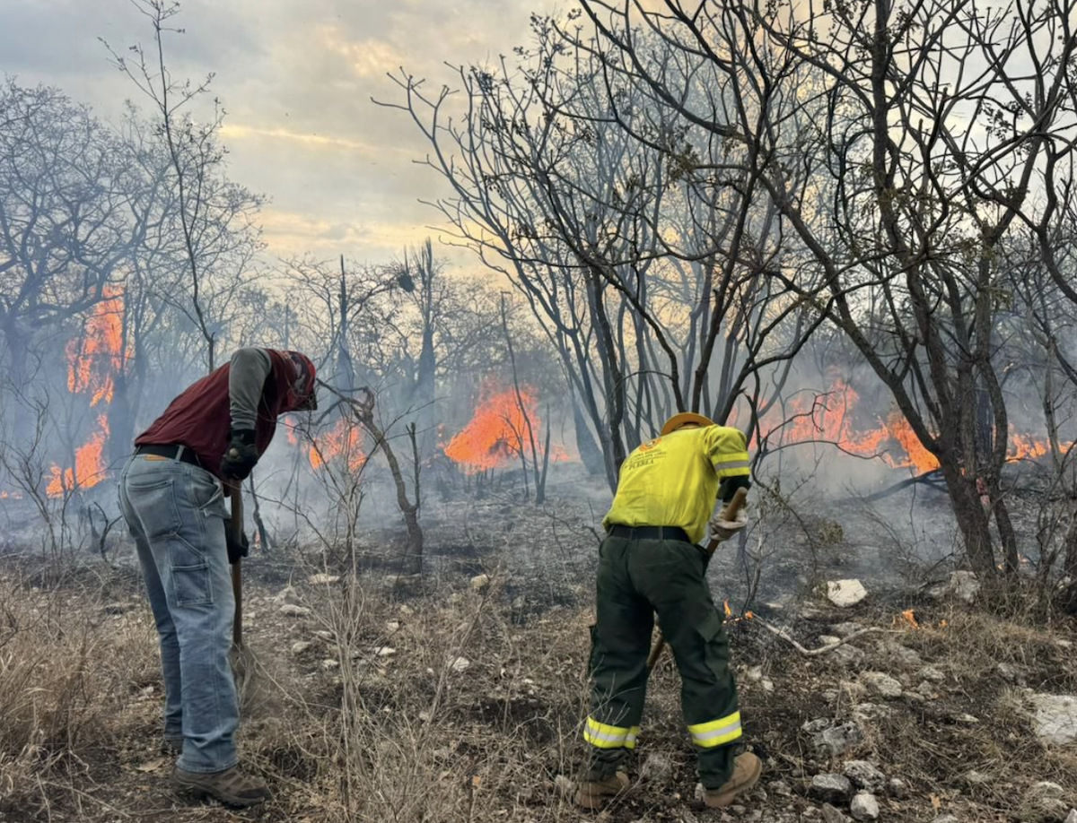Se ha controlado en un 75% incendio en la Mixteca
